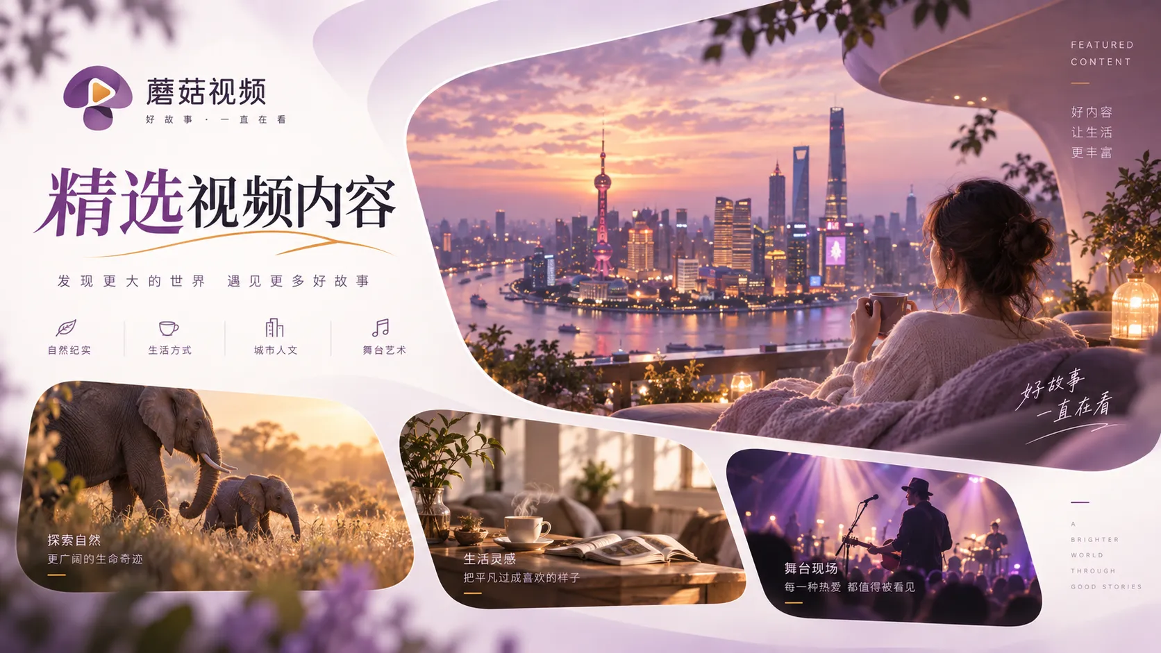 蘑菇视频电影与剧集内容导读